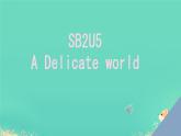 Unit 5 A delicate world Words and Expressions 課件高中英語外研版（2019）選擇性必修第二冊1
