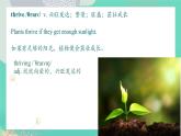 Unit 5 A delicate world Words and Expressions 課件高中英語外研版（2019）選擇性必修第二冊1