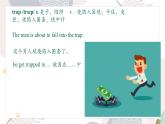 Unit 5 A delicate world Developing ideas 課件高中英語外研版（2019）選擇性必修第二冊
