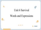 Unit 6 Survival  Words and Expressions 課件高中英語外研版（2019）選擇性必修第二冊