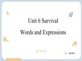 Unit 6 Survival  Words and Expressions 课件高中英语外研版（2019）选择性必修第二册