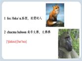 Unit 6 Survival  Words and Expressions 课件高中英语外研版（2019）选择性必修第二册