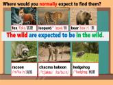 Unit 6 Survival Understanding ideas 課件高中英語外研版（2019）選擇性必修第二冊1