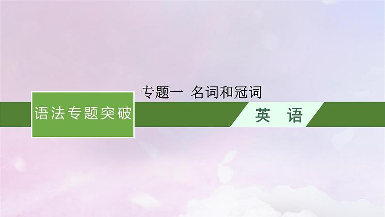 适用于新高考新教材天津专版2024届高考英语一轮总复习语法专题突破专题1名词和冠词课件外研版第1页