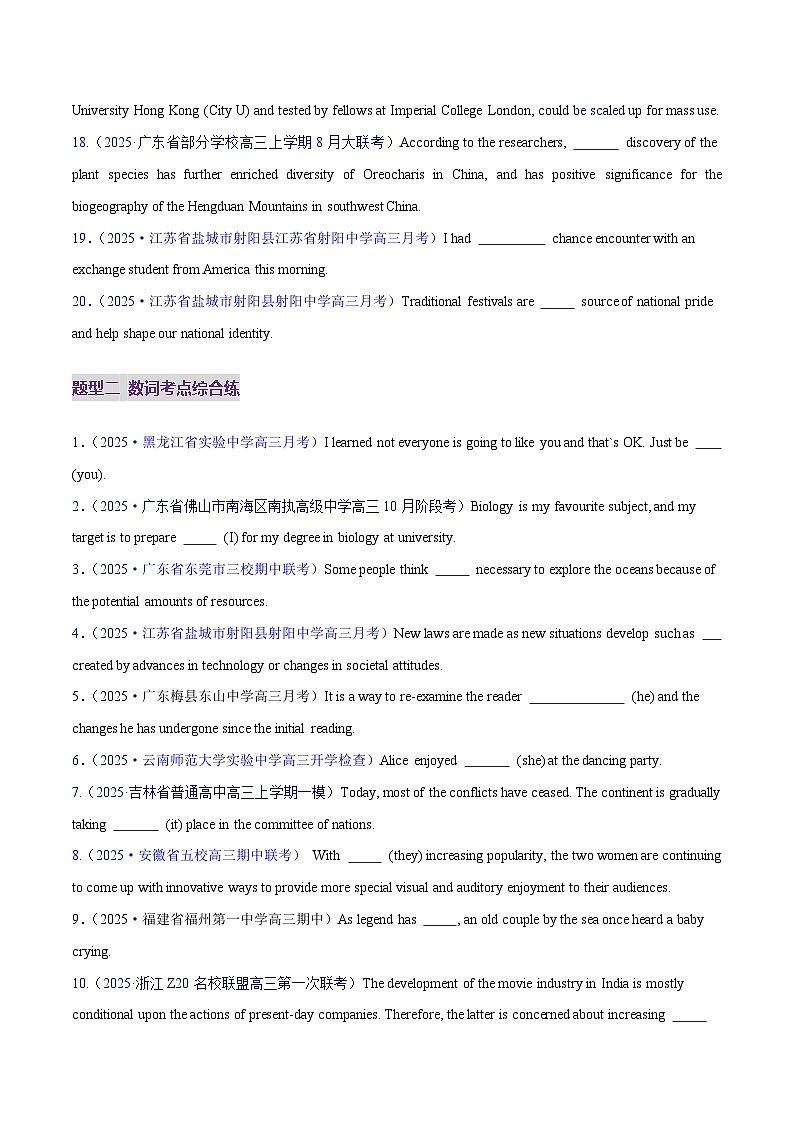 2025年高考英语二轮复习（新高考通用）专题01冠词和代词（练习）（学生版）第3页