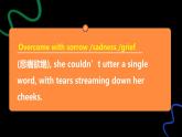 Unit 12 Lesson 3 知識點課件 高二英語同步精品課件（北師大版2019選擇性必修第四冊）