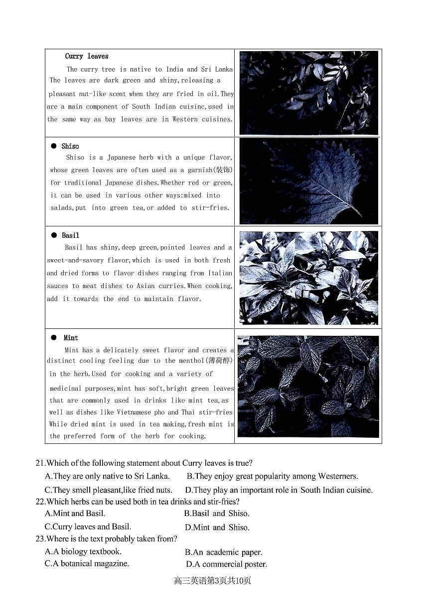 高三上--开学考--2024-2025学年浙江省名校协作体高三上学期开学联考英语（含答案）第3页