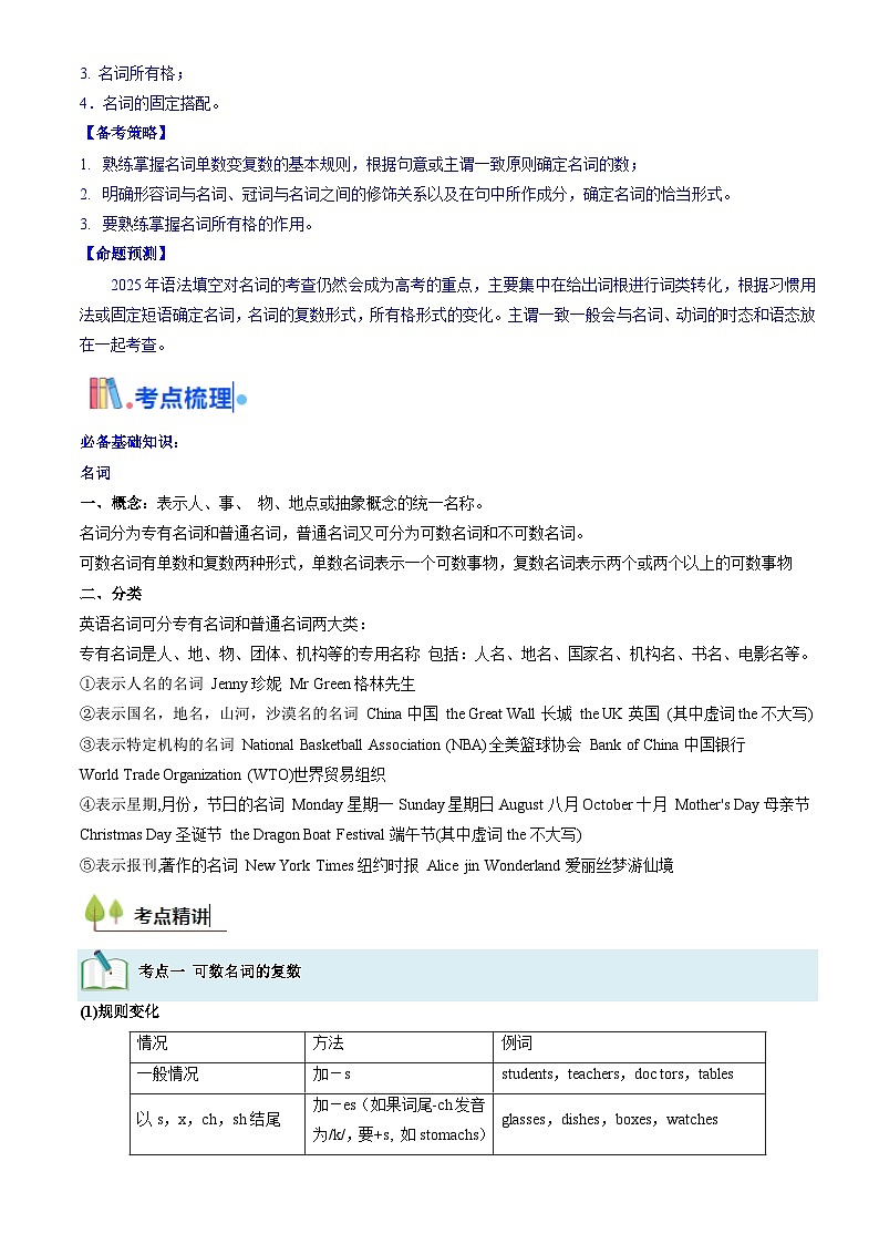 备战高考英语（核心考点精讲精练）考点01 名词与数词（解析版）第2页