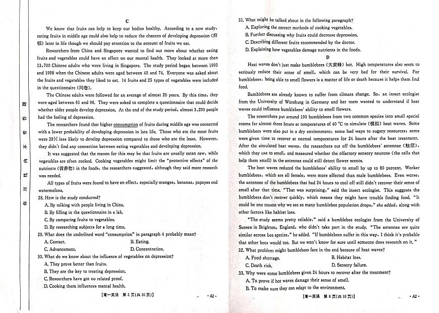 高一英语A2   第3页