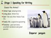 Unit 5 Amazing Animals：Viewing,Speaking and Writing（课件） -2024-2025学年（重大版）（2019）英语必修 第一册
