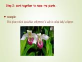 Unit 6 Surprising Plants Reading Actively（课件） -2024-2025学年（重大版）（2019）英语必修 第一册