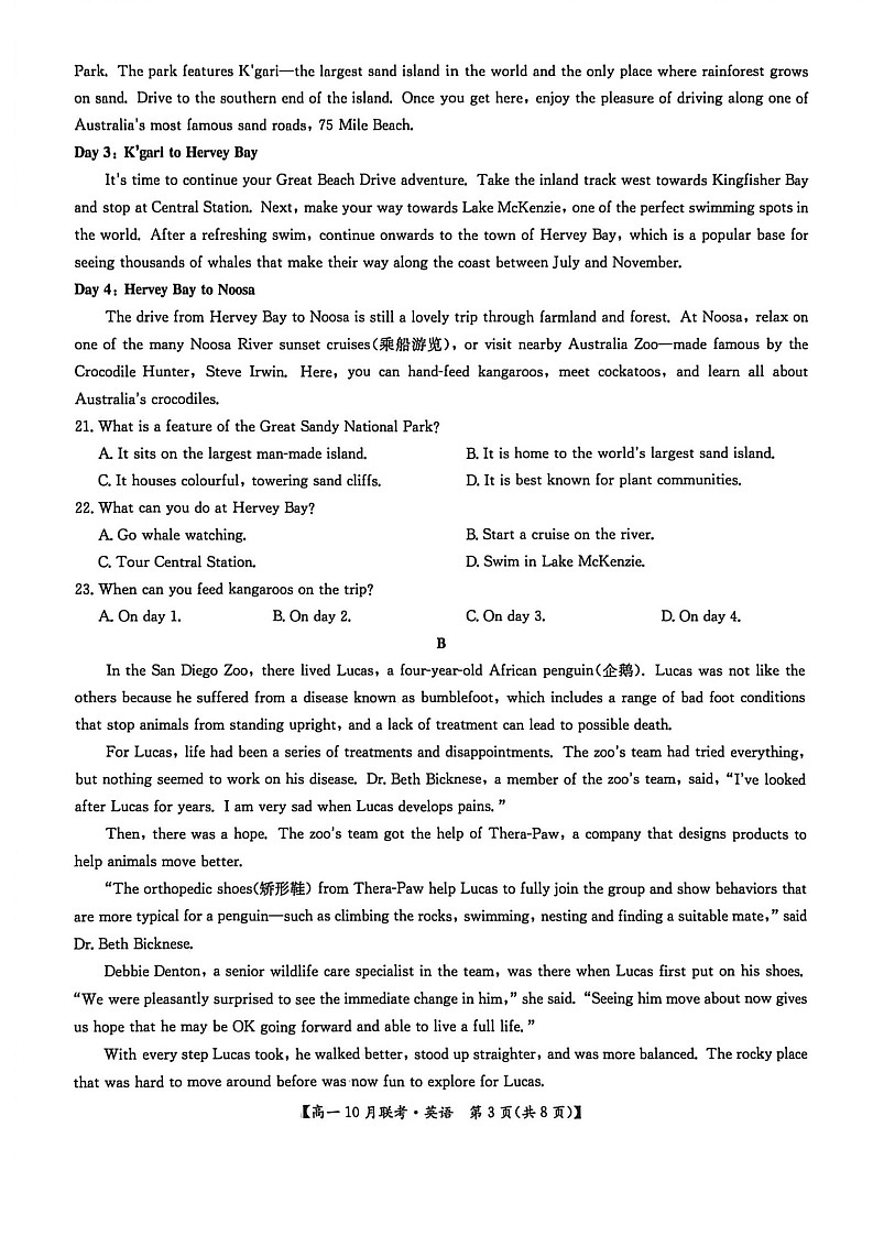 河南洛阳强基联盟联考2025-2026学年高一上学期10月考试英语试卷pdf第3页