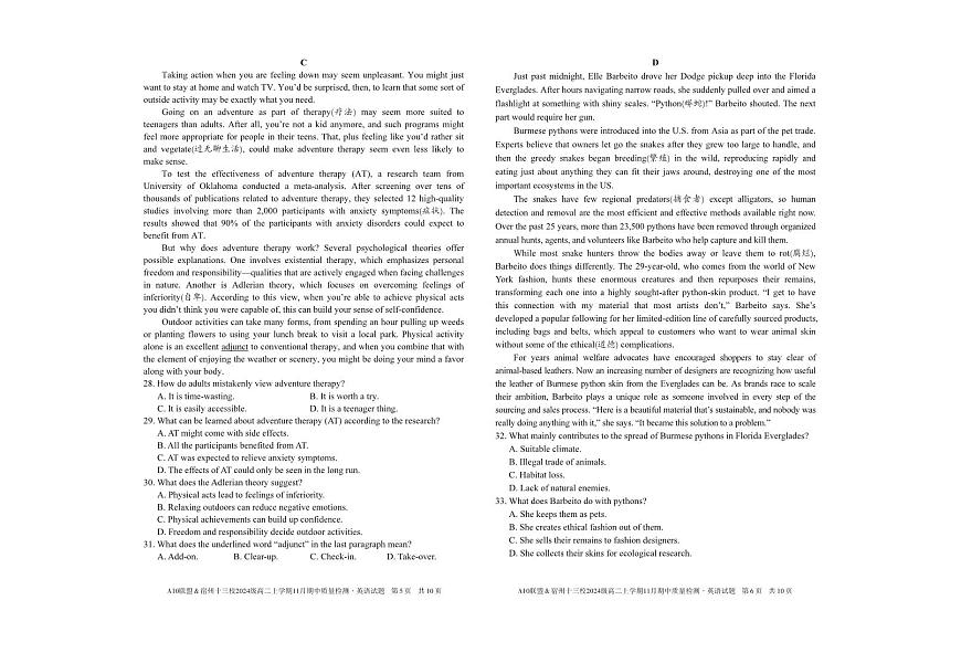 安徽省A10联盟宿州十三校2024级高二上学期11月期中质量检测【英语试卷】（含答案）第3页