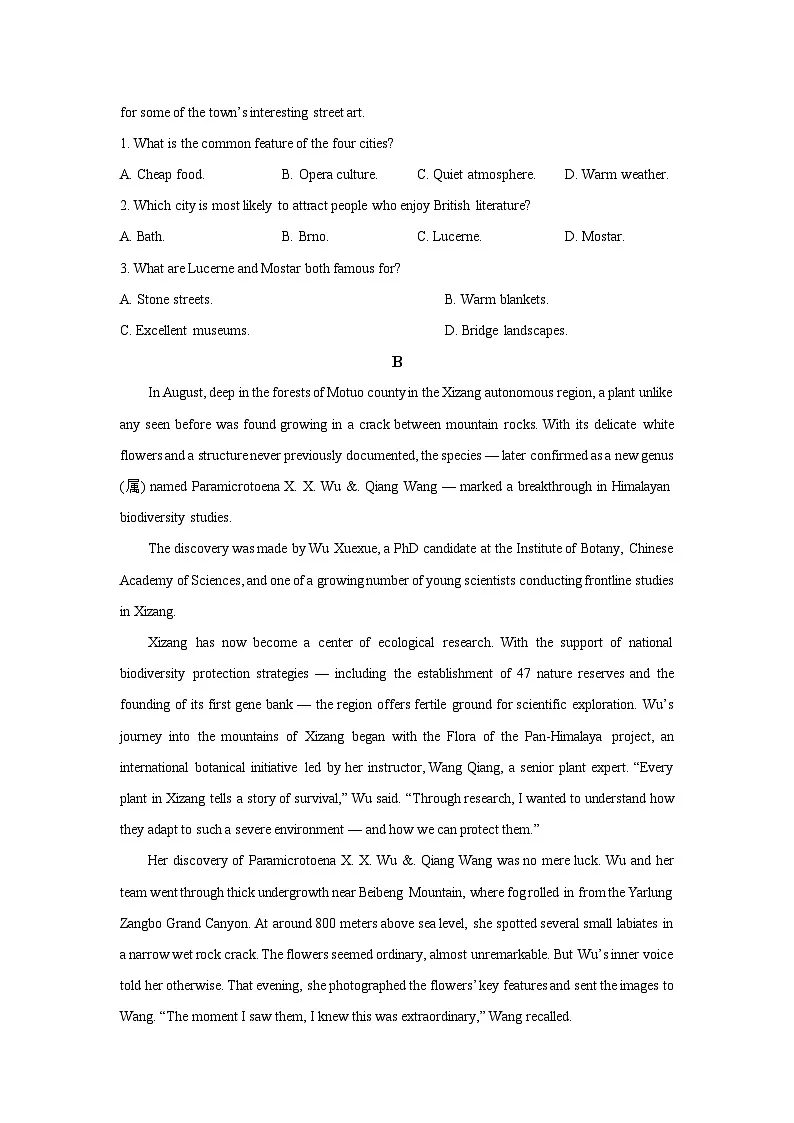 2025-2026学年安徽省高二上学期12月月考英语试卷（学生版）第2页