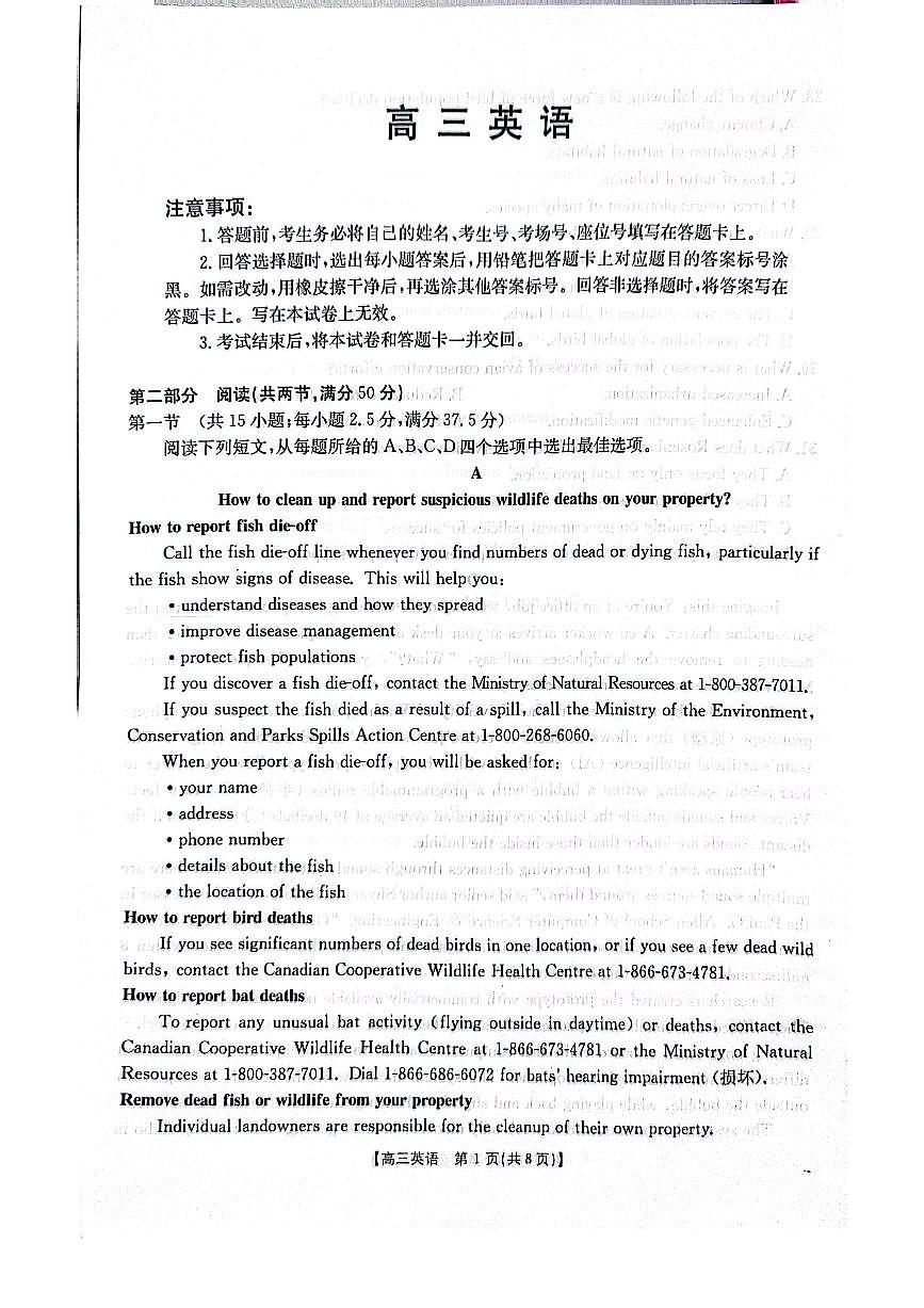 广东省深圳市宝安区2024-2025学年高三上学期期末考试英语试卷第1页