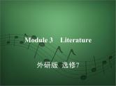 2020外研版高考英语一轮复习课件：选修7 Module 3　Literature