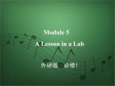 2020外研版高考英语一轮复习预习课件：必修1Module 5　A Lesson in a Lab