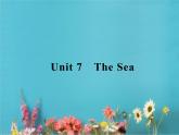 高中英语北师大版必修三课件：Unit 7 The sea Warm-up & Lesson 1　The Spirit of Explorers