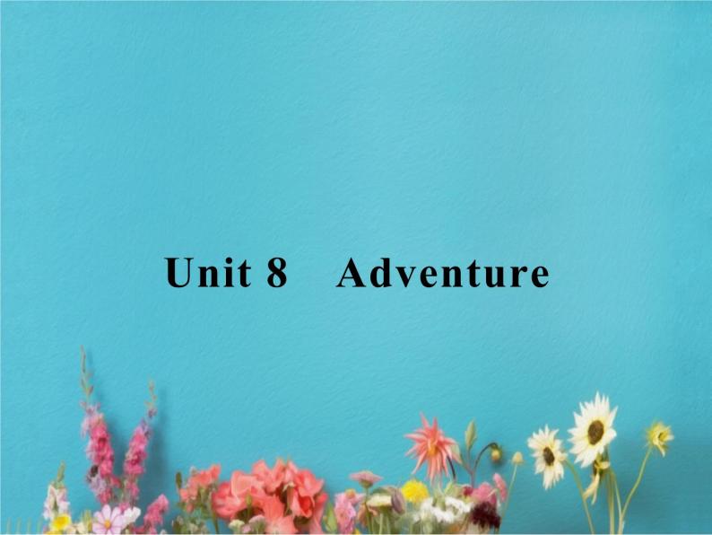 高中英语北师大版必修三课件：Unit 8 Adventure Warm-up & Lesson 1　Adventure Holidays01
