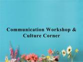 高中英语北师大版必修四课件：Unit 11 The Media Communication Workshop & Culture Corner