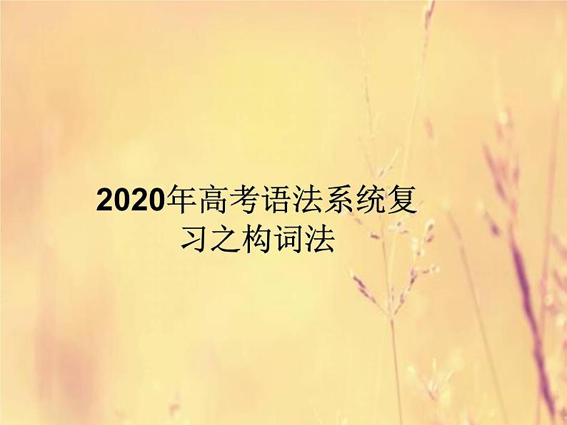 2020高考英语语法复习课件：构词法01