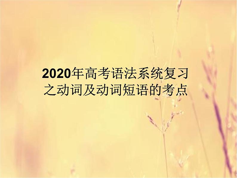 2020高考英语语法复习课件：动词01