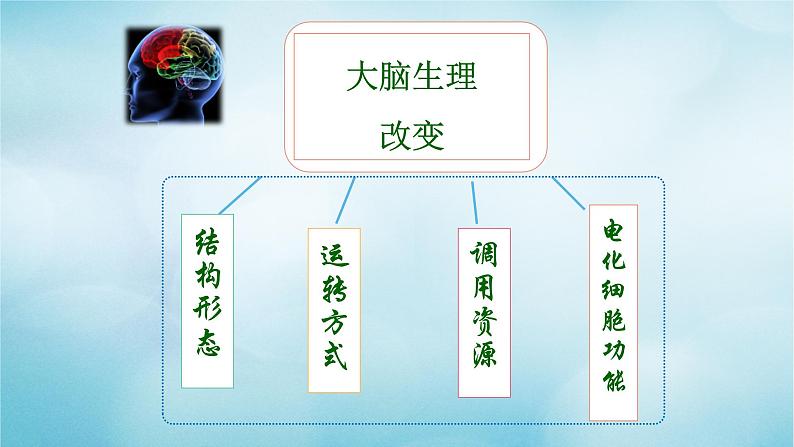 2021届高考英语一轮复习专项点拨专题02语言与思维的关系课件第7页