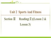 必修第一册课件：Unit 2 Section Ⅲ Reading（Ⅱ）（Lesson 2 & Lesson 3）