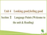（新）牛津译林版高中英语必修第一册课件：Unit 4 Section Ⅱ　Language Points （Welcome to the unit & Reading）