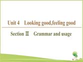 （新）牛津译林版高中英语必修第一册课件：Unit 4 Section Ⅲ　Grammar and usage