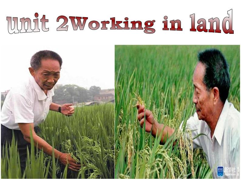 必修四unit2Working the land 一轮复习词汇课件03