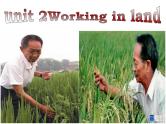 必修四unit2Working the land 一轮复习词汇课件