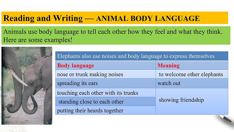 Unit 4 Body language Review4.4 Reading for writing-Using language 2 课件04