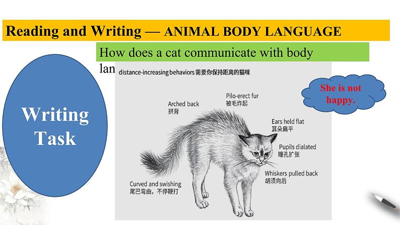 Unit 4 Body language Review4.4 Reading for writing-Using language 2 课件07