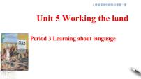 人教版 (2019)选择性必修 第一册Unit 5 Working the Land评优课ppt课件