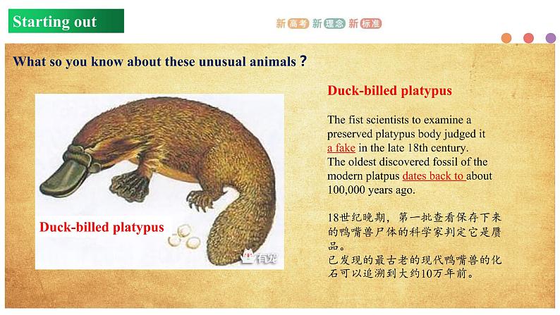 Unit 5 Revealing nature Period 1 Starting out and understanding ideas 课件-【新教材精创】同步备课(外研版选择性必修第一册)》04