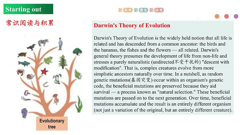 Unit 5 Revealing nature Period 1 Starting out and understanding ideas 课件-【新教材精创】同步备课(外研版选择性必修第一册)》06