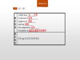2020-2021学年新人教版选择性必修1课件：Unit4 Body language　Section B　Learning about Language