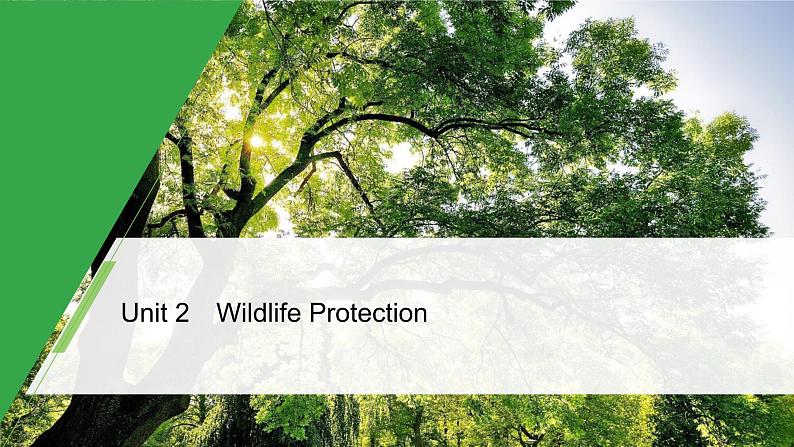 Unit 2 Wildlife protection 精品讲义课件Period One　Listening and Speaking & Reading and Thinking—Comprehending01