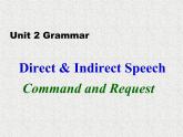 高中人教版英语必修一课件：Unit 2 Section C Grammar 1课件（共29 张PPT）