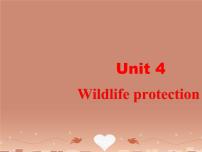 高中英语人教版 (新课标)必修1&2Unit 4 Wildlife Protection图文ppt课件