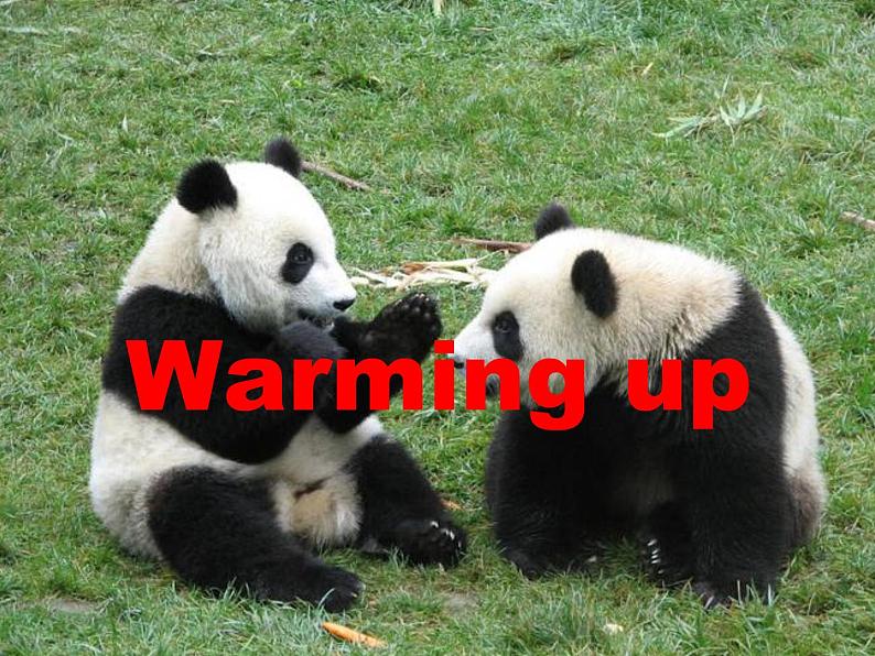 高中英语 Unit 4 Wildlife protection Warming up & reading课件 新人教版必修2第2页