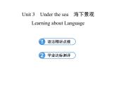 高中英语课件 选修七：Unit 3 Learning about Language