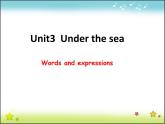 高中英语人教版选修7课件：unit3 period2 vocabulary