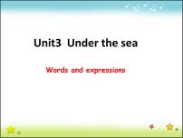 英语Unit 3 Under the sea教课内容ppt课件