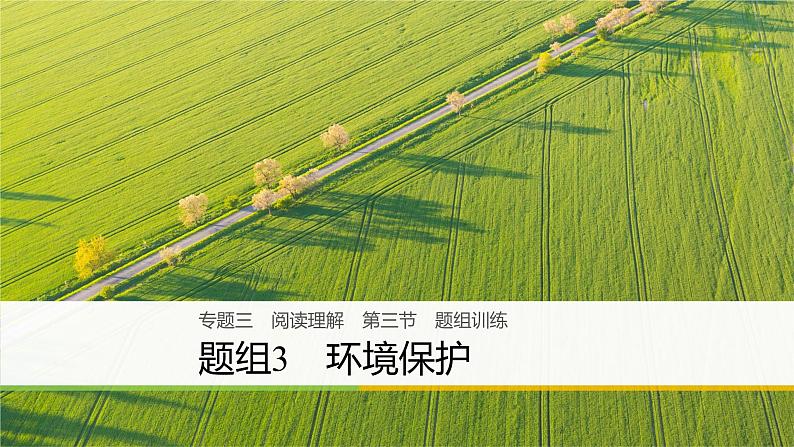 2021年高考英语二轮复习课件：专题三 阅读理解 第三节 题组3第1页