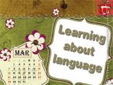 高二英语人教版选修6课件：Book 6 Unit 3 Learning about language