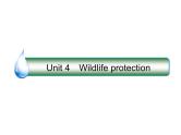 2021版高考英语（课标通用）大一轮复习课件：必修二 Unit 4 Wildlife protection