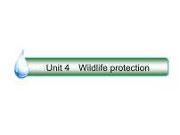 2021版高考英语（课标通用）大一轮复习课件：必修二 Unit 4 Wildlife protection