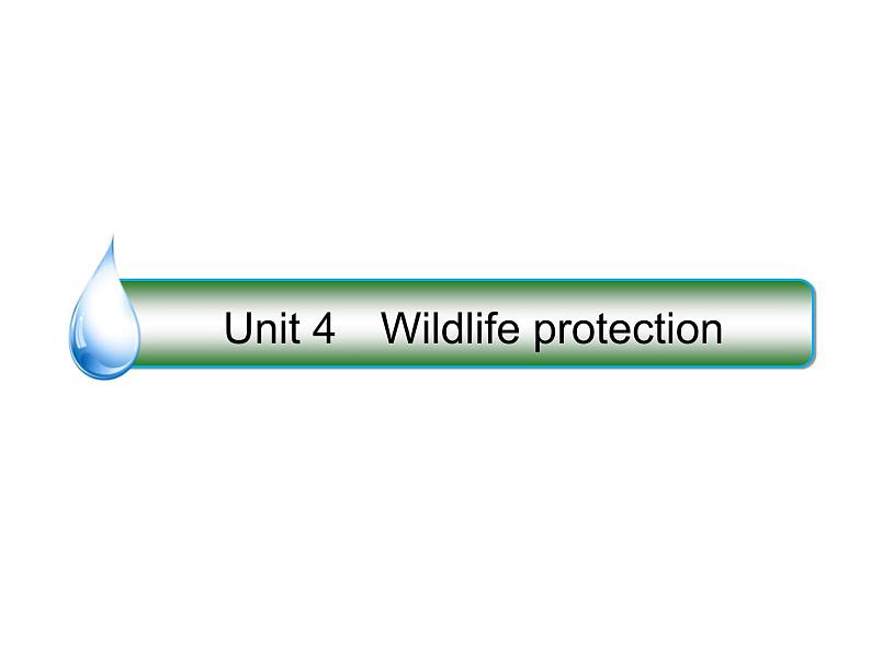 2021版高考英语（课标通用）大一轮复习课件：必修二 Unit 4 Wildlife protection01